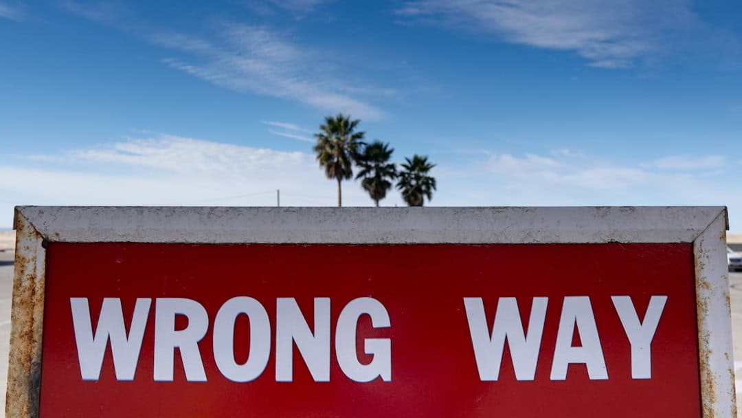 Wrong way traffic sign with palm trees and blue sky in the background.