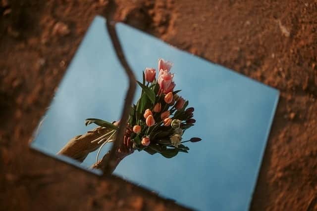 flowers, mirror, beautiful flowers, reflection, flower wallpaper, reflected, bloom, spring, broken, break, morning, poster, banner, adobe, flower background, landscape, mood, culture, nature, equinox, fantasy